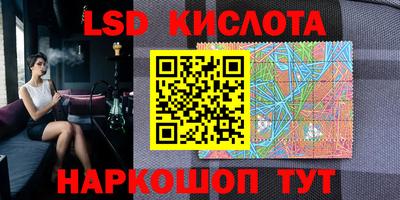 альфа пвп Новодвинск