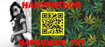 альфа пвп Новодвинск