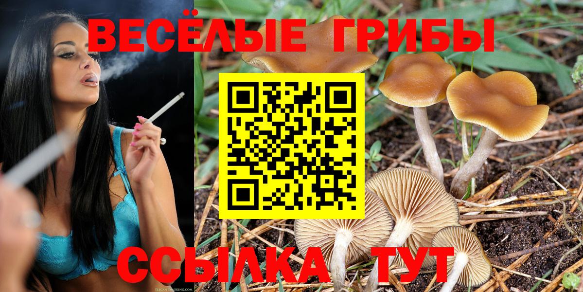 Псилоцибиновые грибы Psilocybine cubensis  Вход с VPN  Шарыпово 
